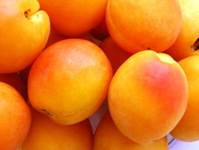 Torta frutta estiva